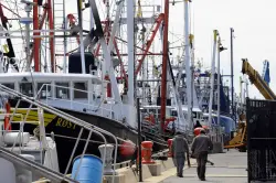 Massachusetts fishermen look to cut red tape, access waters booming with scallops