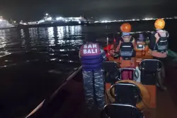 Rescuers search for survivors after ferry sinking near Bali, Indonesia